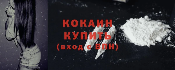 индика Фурманов