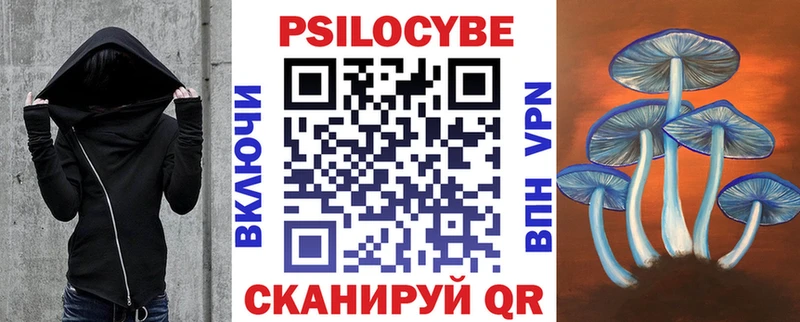 OMG онион  Альметьевск  Галлюциногенные грибы прущие грибы  как найти  