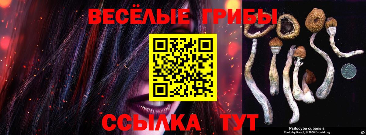Альметьевск  Галлюциногенные грибы Cubensis  Вход с VPN 